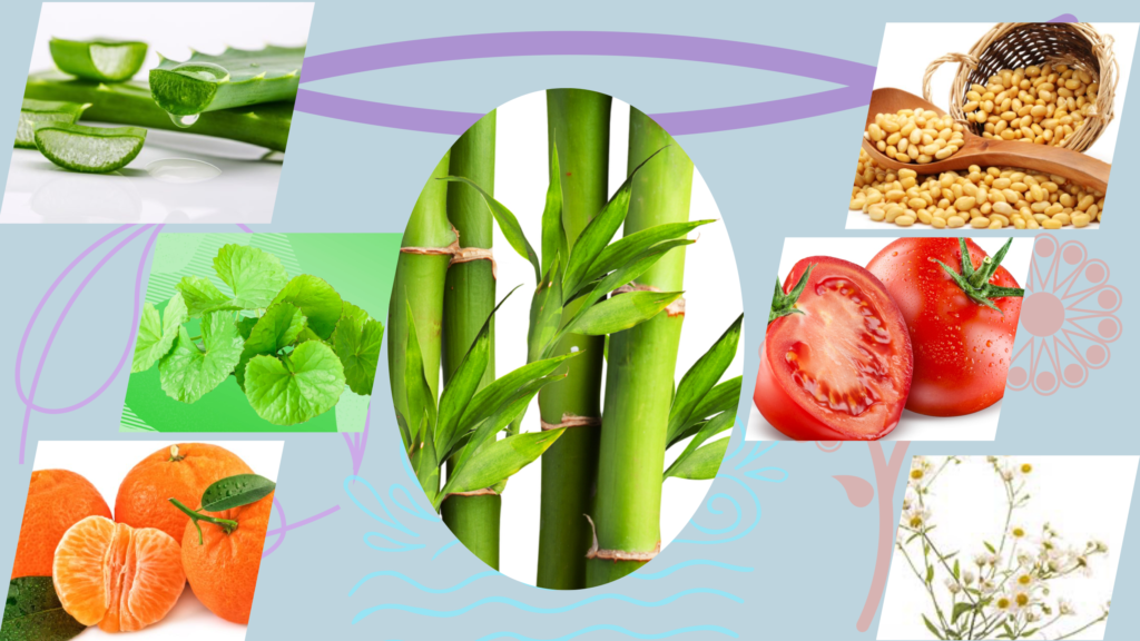 Extractos provenientes de flores, frutas y plantas medicinales